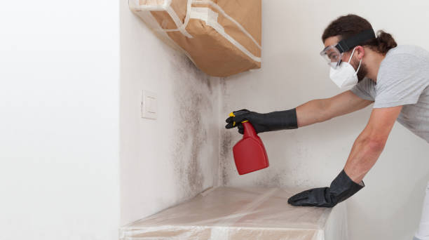 Professional Crawl Space Mold Removal technician working in North Babylon, NY