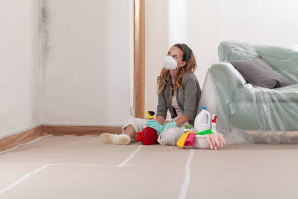 Reliable Crawl Space Mold Removal contractor in North Babylon, NY by WQB Mold Removal